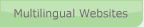 Multilingual Websites